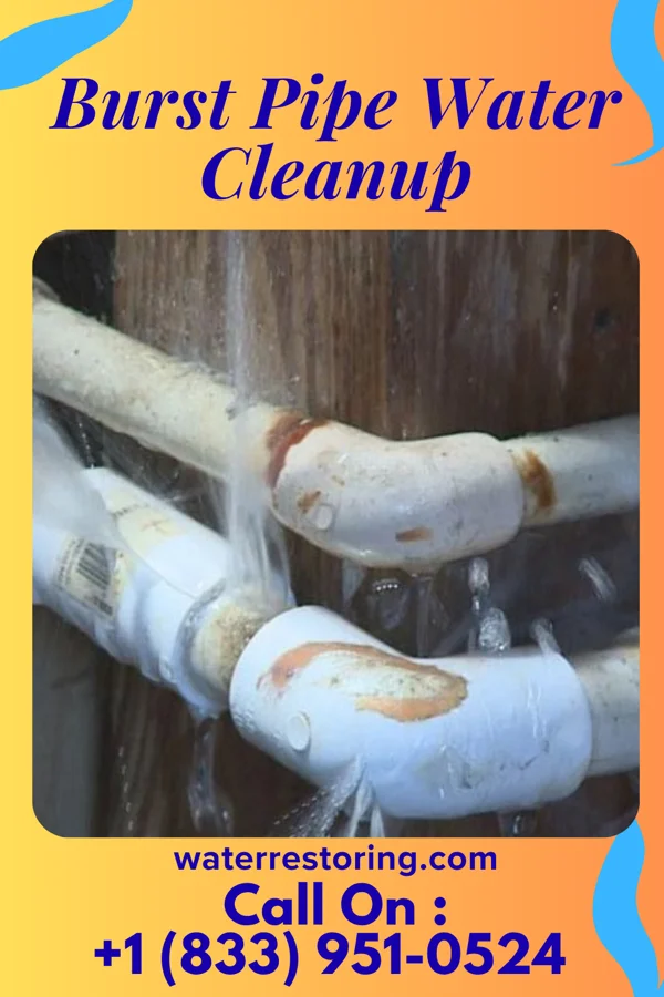 Burst Pipe Water Cleanup in Amity, MO