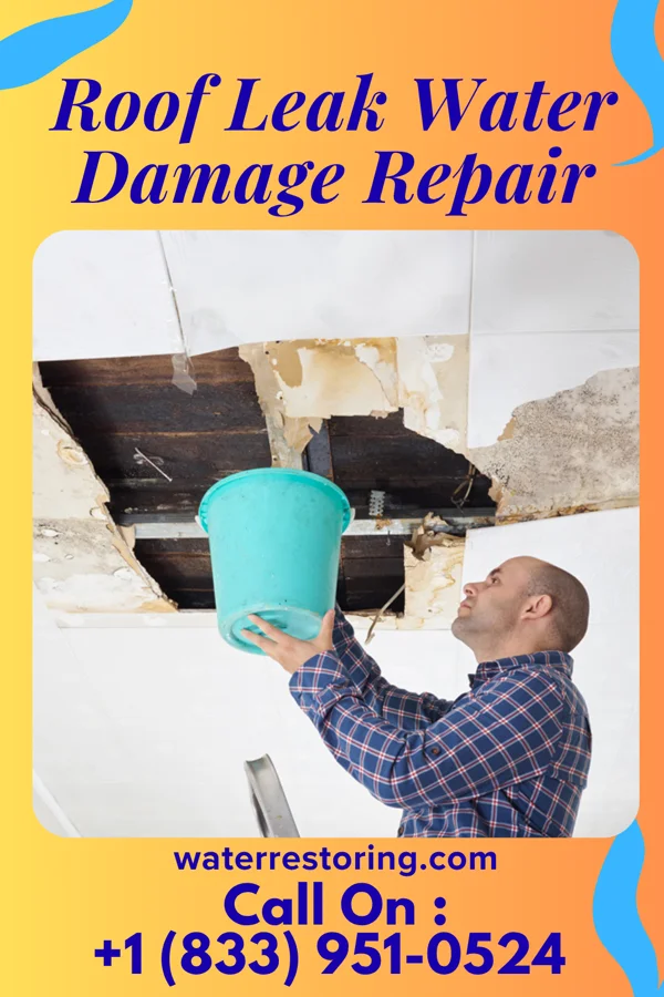 Roof Leak Water Damage Repair in Amity, MO