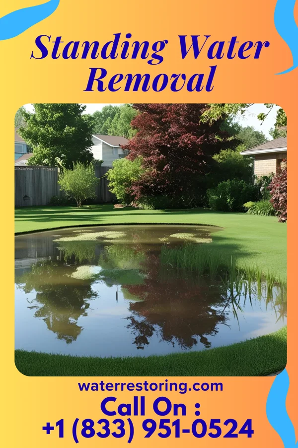 Standing Water Removal in Amity, MO